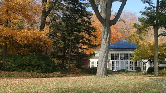 Homebuyer Intel to Use While You’re Leaf-Peeping in New Hampshire (Live in New Hampshire)